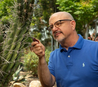 Man closely examines cactus outdoors.