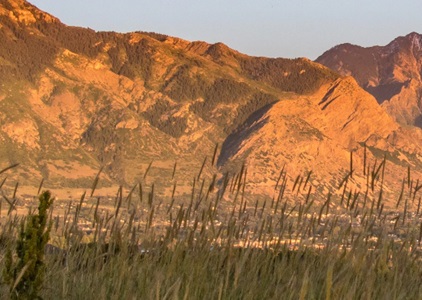 Utah Landscape Bonnie L@NG