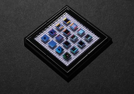 microchip