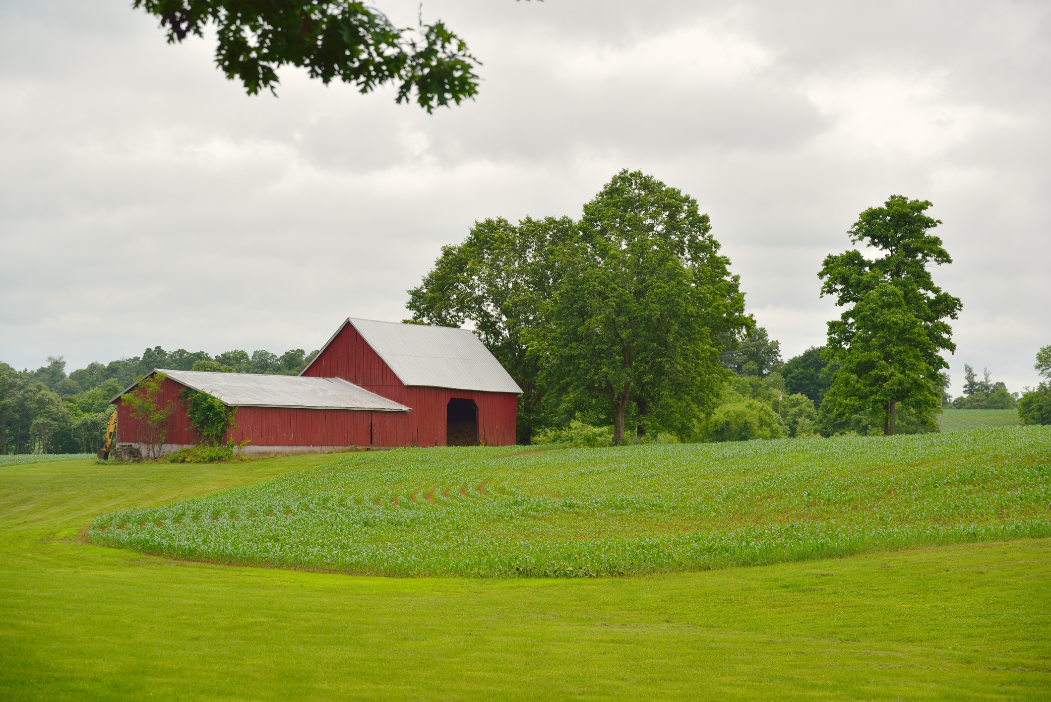 Classic Farm Scene Sykesville, MD red barn on farm