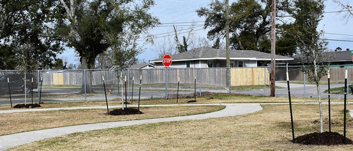 Tree Planting in Popular Park Aids Hurricane Recovery in Lake Charles trees planted in park