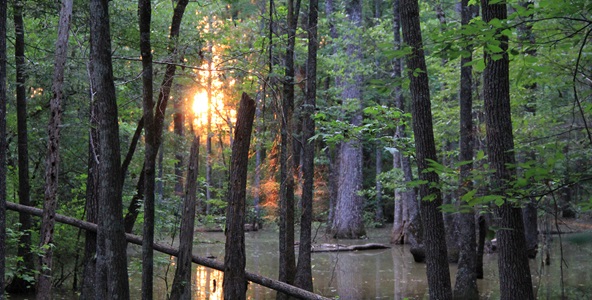 Warner Robins Georgia
