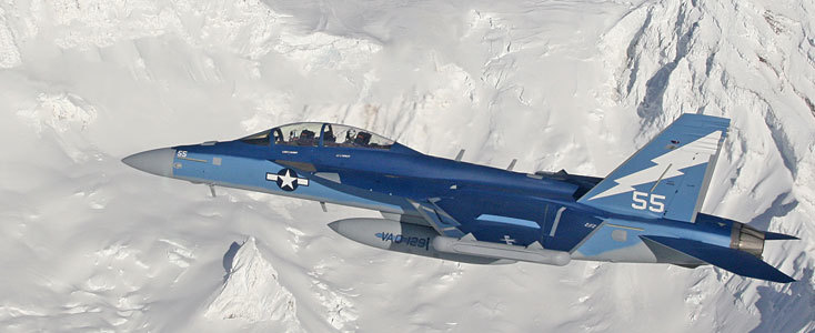 EA-6B Prowler EA-6B Prowler military aircraft flying