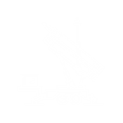 Affordable icon