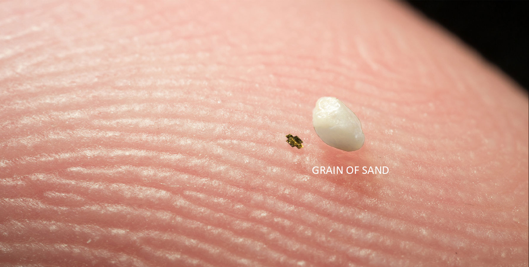 The Quick Chip finger holding micro chip and grain of sand