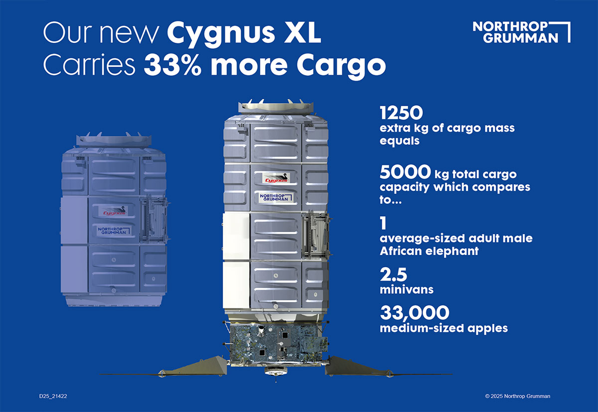 Stretched Cygnus infographic