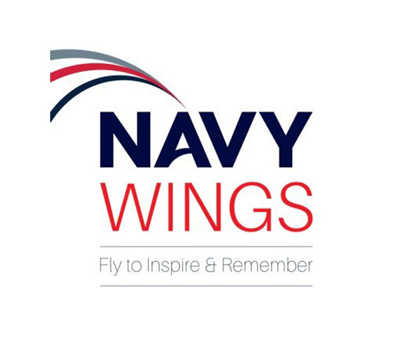 Navy Wings