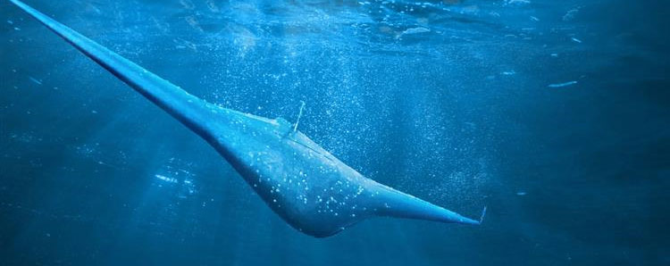 DARPA Selects Performers to Build, Test Manta Ray Unmanned Underwater Vehicles (DARPA)