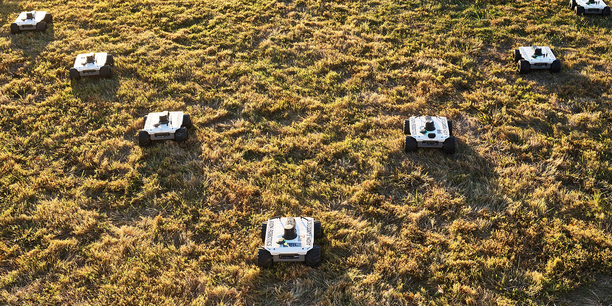 several small autonomous robots on land